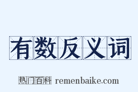 有数反义词是什么意思的图片